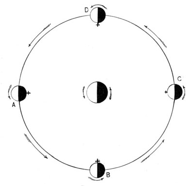 Phases and Rotation of the Moon.