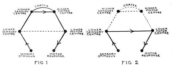 Fig 1, Fig 2