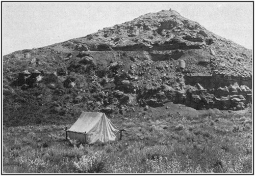 Fig. 14.: Quarry from which the Tyrannosaurus
skeleton was taken. American Museum camp in foreground.