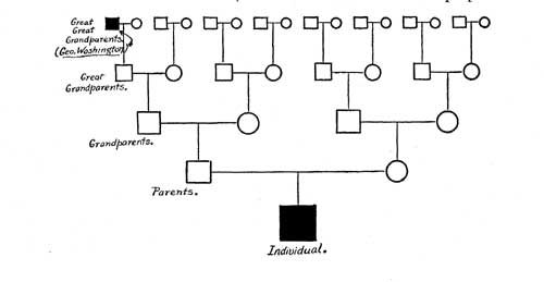 THE SMALL VALUE OF A FAMOUS, BUT REMOTE, ANCESTOR