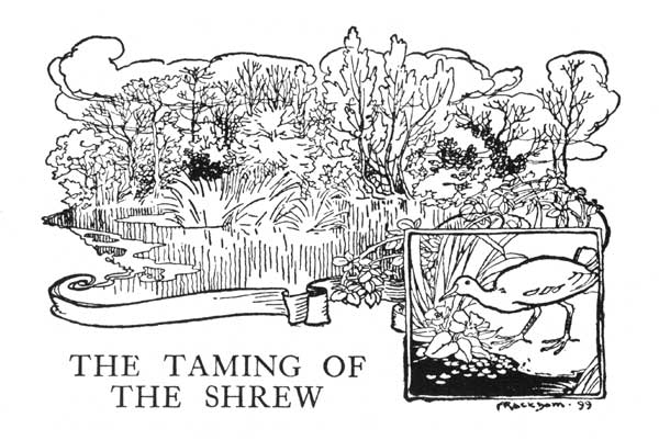 THE TAMING OF THE SHREW