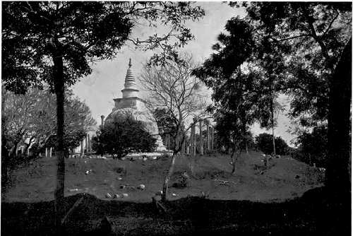 Near the Sacred Road, Thuparama Dagoba