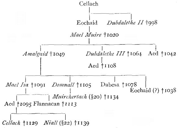 coarbs of Patrick