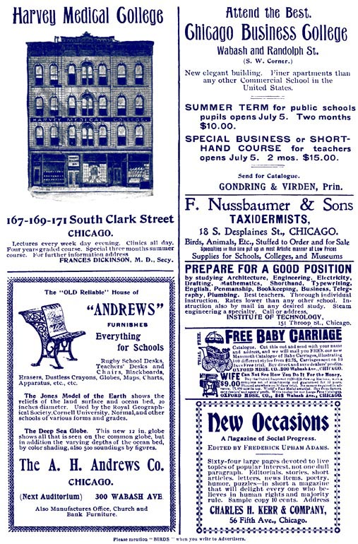 advertisement