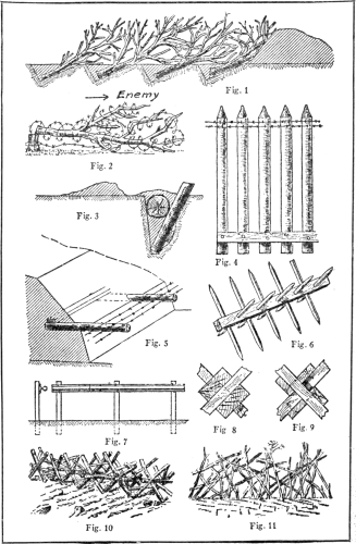 Plate I