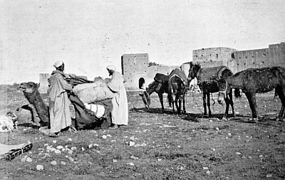 ONE OF OUR LAST CAMPS. LOADING THE CAMEL.