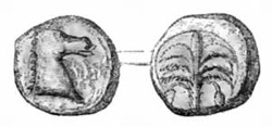 CARTHAGINIAN COIN.