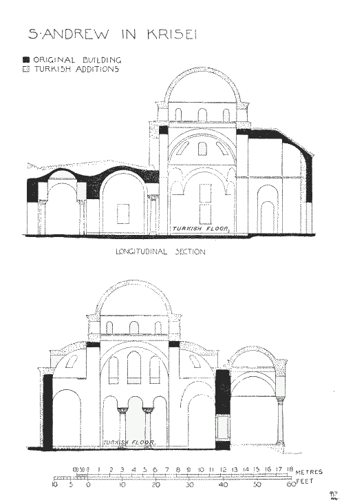 Longitudinal Sections. 