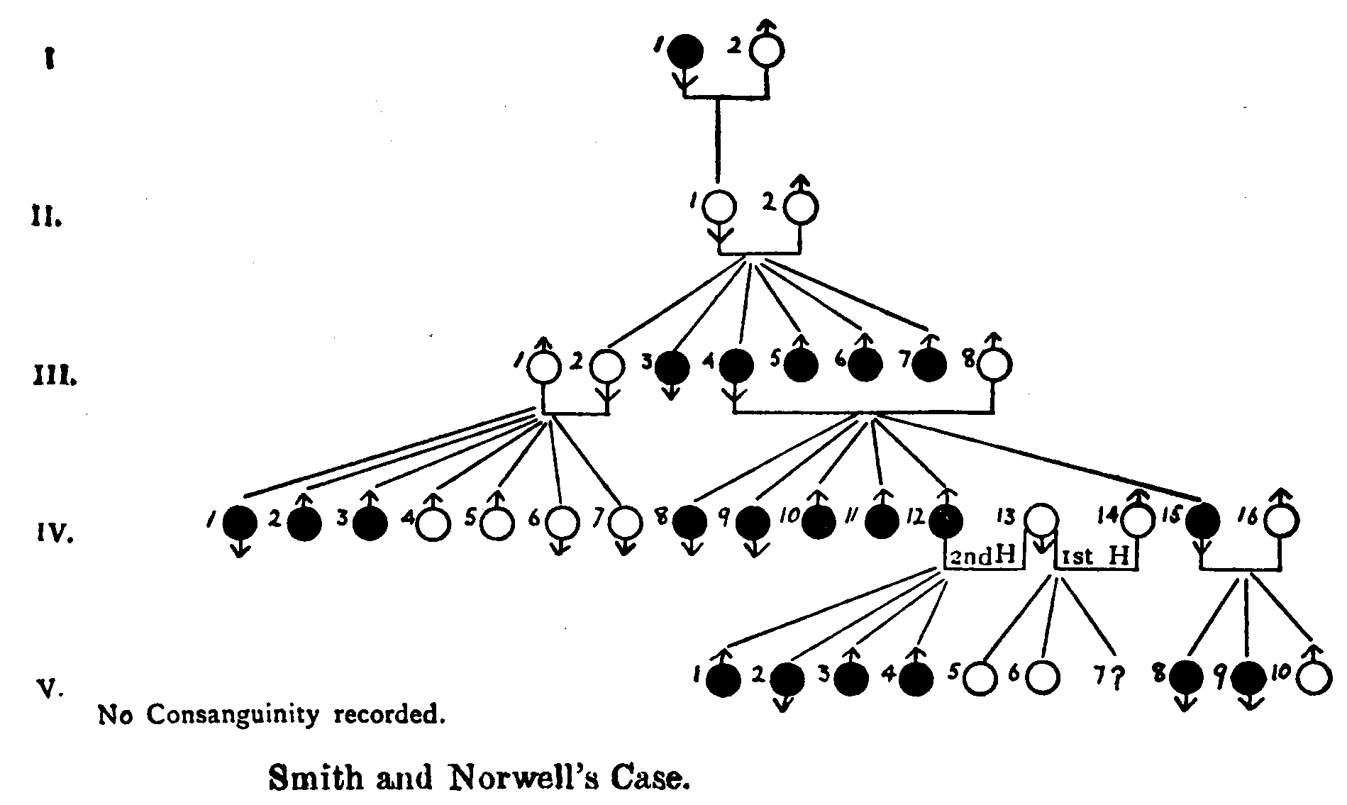 Fig. 14.