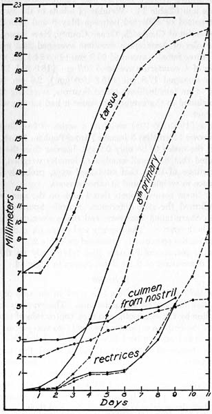 A graph showing the development of the young Seaside Sparrows and Sharp-tailed Sparrows.