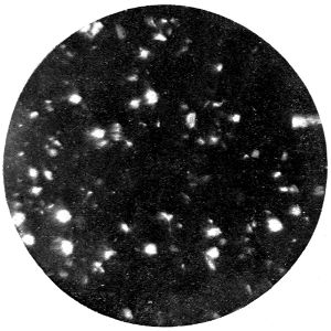 Barium Sulphate Polarized Light