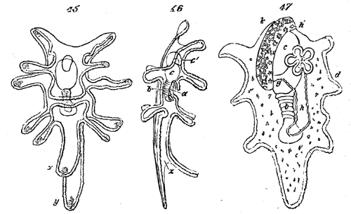 Figs. 45-47