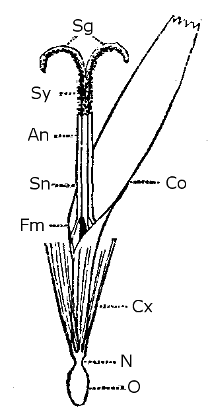 Drawing of structure.