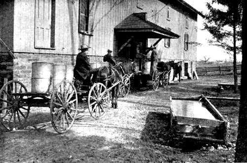 Delivering milk to the cheese factory.