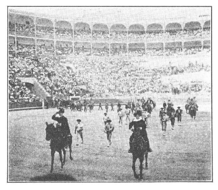 BULLFIGHT, MADRID