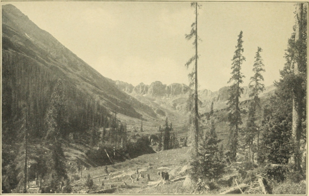 AT THE EDGE OF THE ARCTIC-ALPINE LIFE ZONE IN THE SAN JUAN MOUNTAINS