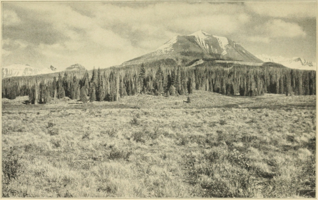 LOOKING EASTWARD FROM LIZARD HEAD