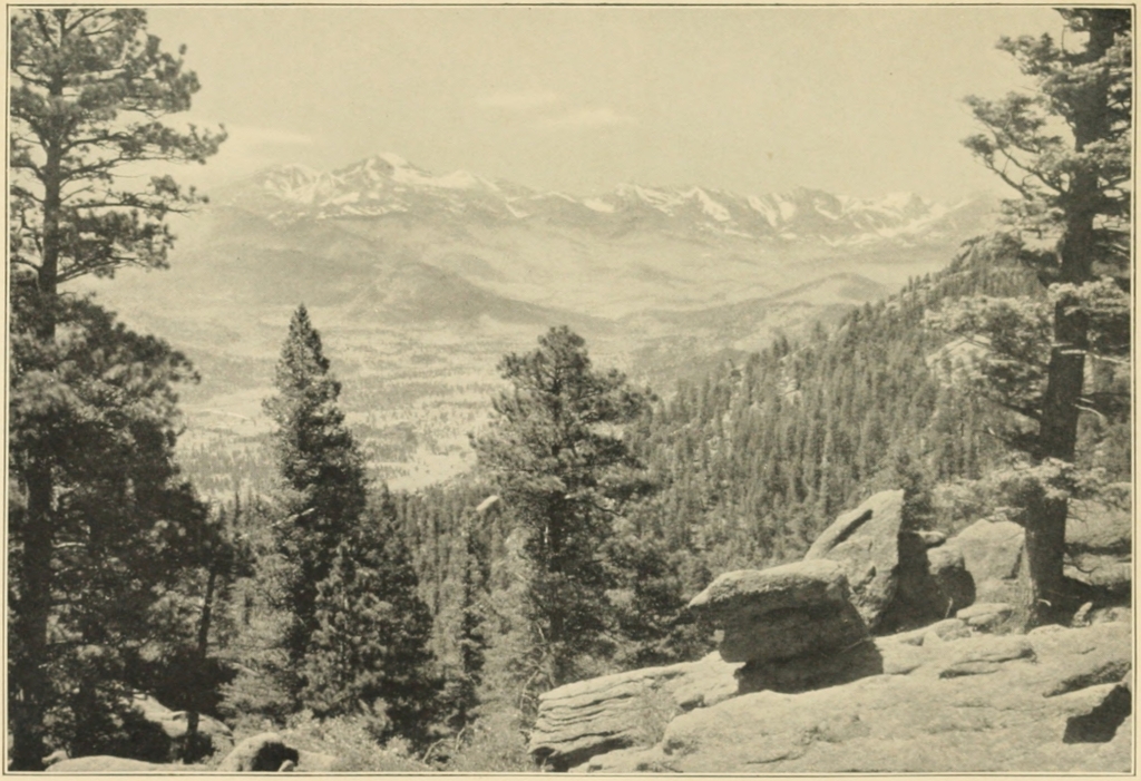 THE CONTINENTAL DIVIDE NEAR ESTES PARK