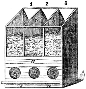 Overview of feeding box for canaries