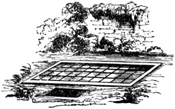 Greenhouse pit