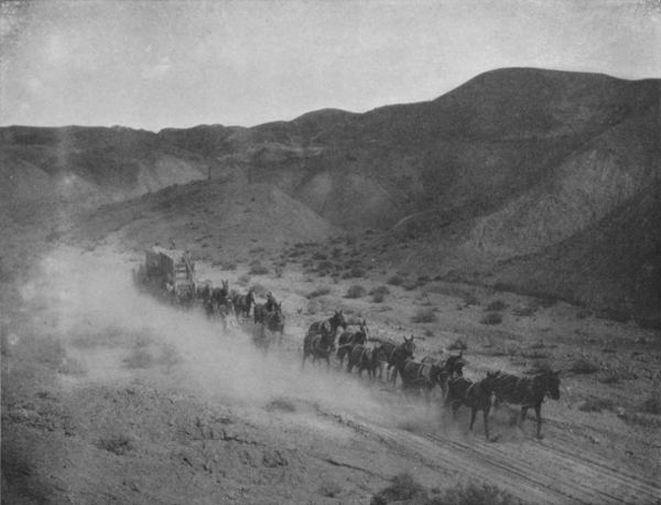 TEAMING IN DEATH VALLEY