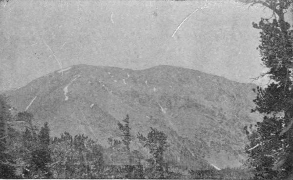 Mount San Antonio, July 4, 1895, As Seen from Mount
Lowe.