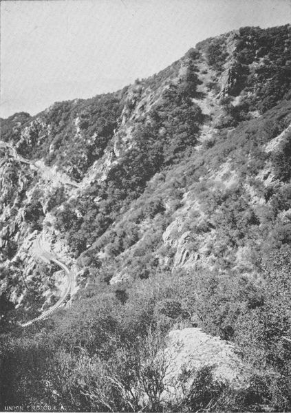 GLIMPSES OF MOUNT LOWE RAILWAY. Grand Circular Bridge at
Upper Right Hand Corner.