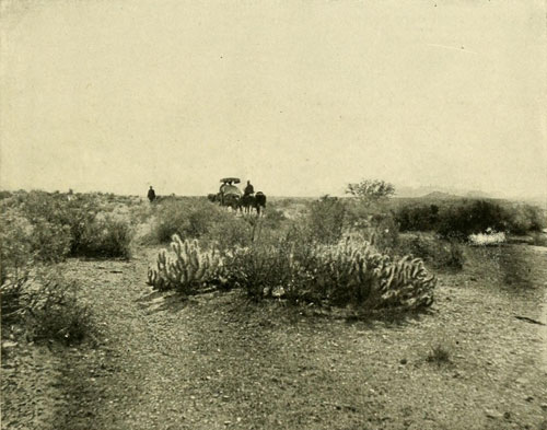 On the Yuma Desert.