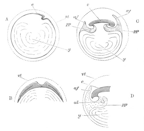 Illustration: Figure 121