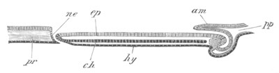 Illustration: Figure 127