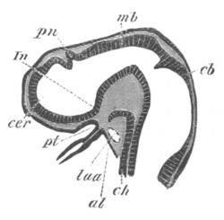 Illustration: Figure 324