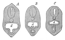 Illustration: Figure 415