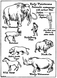 Early Pleistocene Animals