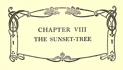 CHAPTER_VIII
THE SUNSET-TREE