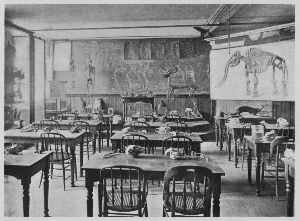 Laboratory of the Boston Society of Natural History