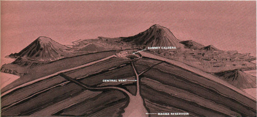 The internal structure of a typical shield volcano.