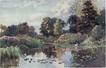 THE LAKE IN BOTANIC GARDENS

Many different kinds of trees surround this winding water, the banks of
which are lined with a variety of rushes and reeds, and are inhabited by
many sorts of water-fowl.