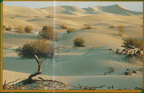 Death Valley, California (photograph by Cecil Stoughton).