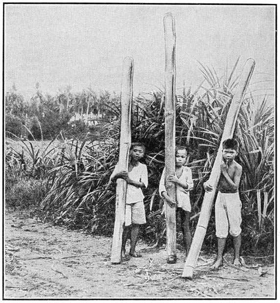 Boys carrying Water