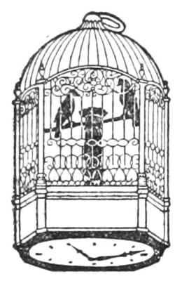 CLOCK, BIRD-CAGE