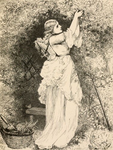 woman gardening