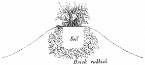 Image not available: Section of raised bed at Battersea, with brick-rubbish
beneath and around the soil.