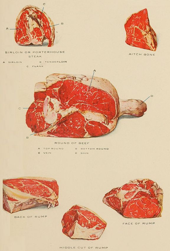 SIRLOIN OR PORTERHOUSE STEAK, SIRLOIN, TENDERLOIN, FLANK, AITCH BONE, ROUND OF BEEF, TOP ROUND, BOTTOM ROUND, VEIN, SHIN, BACK OF RUMP, FACE OF RUMP, MIDDLE CUT OF RUMP