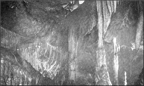 NEW STALACTITE GROTTO, WOOKEY HOLE.