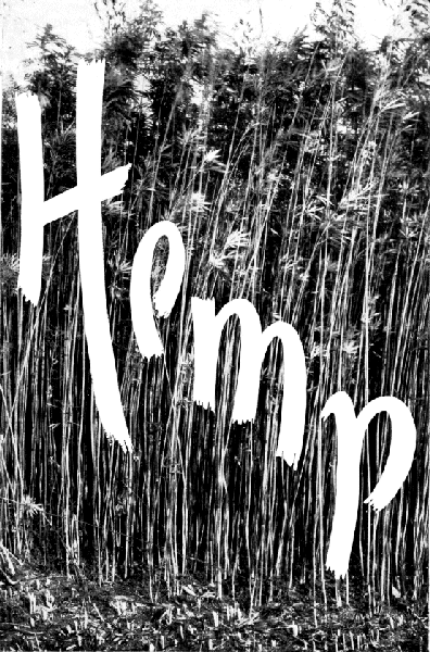 HEMP