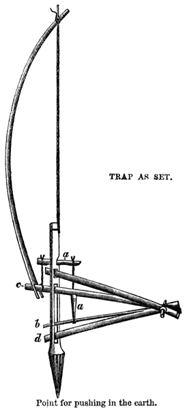 BAMBOO RAT-TRAP, USED BY DUSUN, N.W. BORNEO.