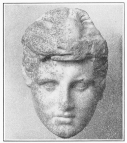 Marble Head of a Boy,