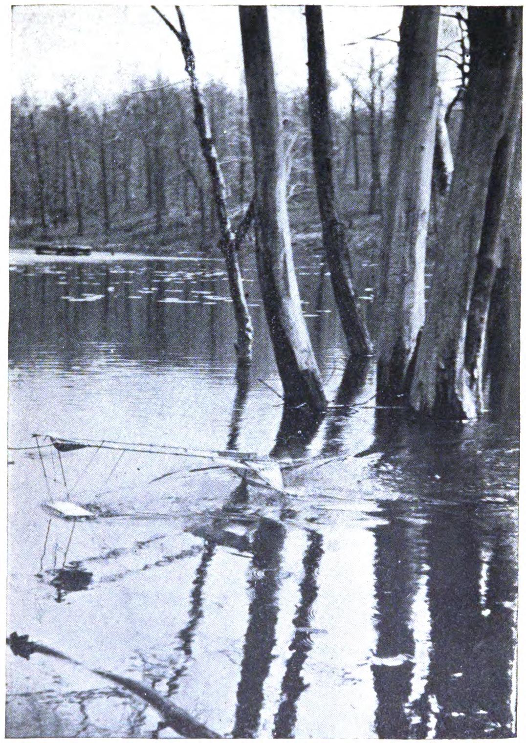 A model aeroplane rising from the water.