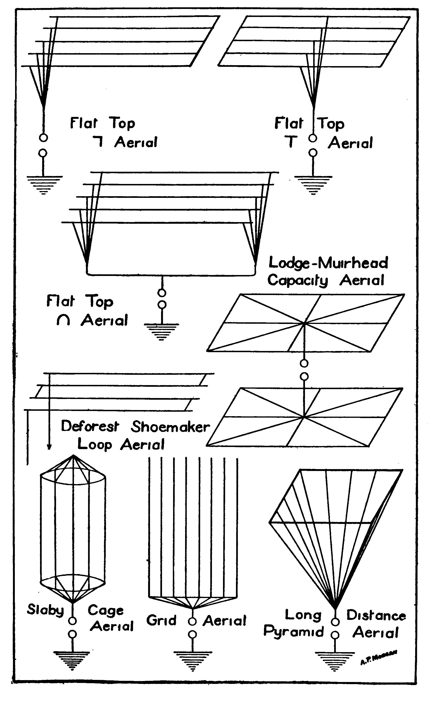 Plate II. Aerial Systems.