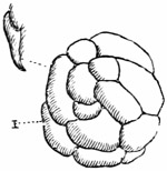 Fig. 16.